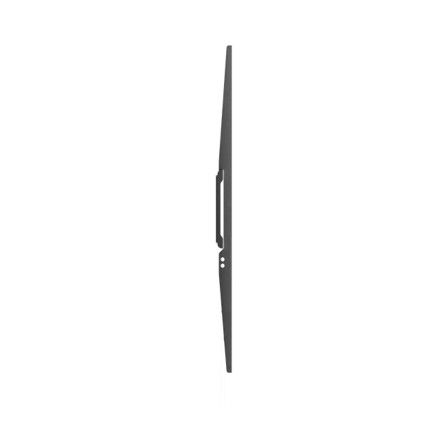 Support SBOX Budget BL-3869F (50-100"/75kg/900x600)