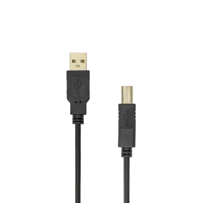 KABEL USB A Muški - USB B Muški 2 m / RETAIL