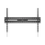 STALAK SBOX Budget BL-3869F (50-100"/75kg/900x600)